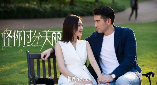 娱乐圈全员爆料小说,全员爆料背后的真相揭秘  第1张