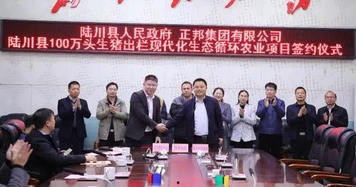 陆川县新闻爆料电话,揭秘陆川最新动态，一键掌握民生资讯  第3张